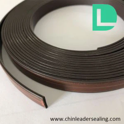 Raya magnética de la ventana de la pantalla