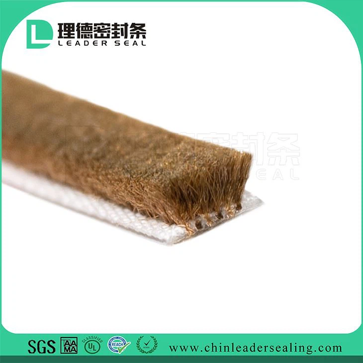 Desprendimiento de tiempo plano