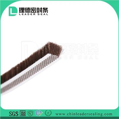 Burlete para puerta delantera